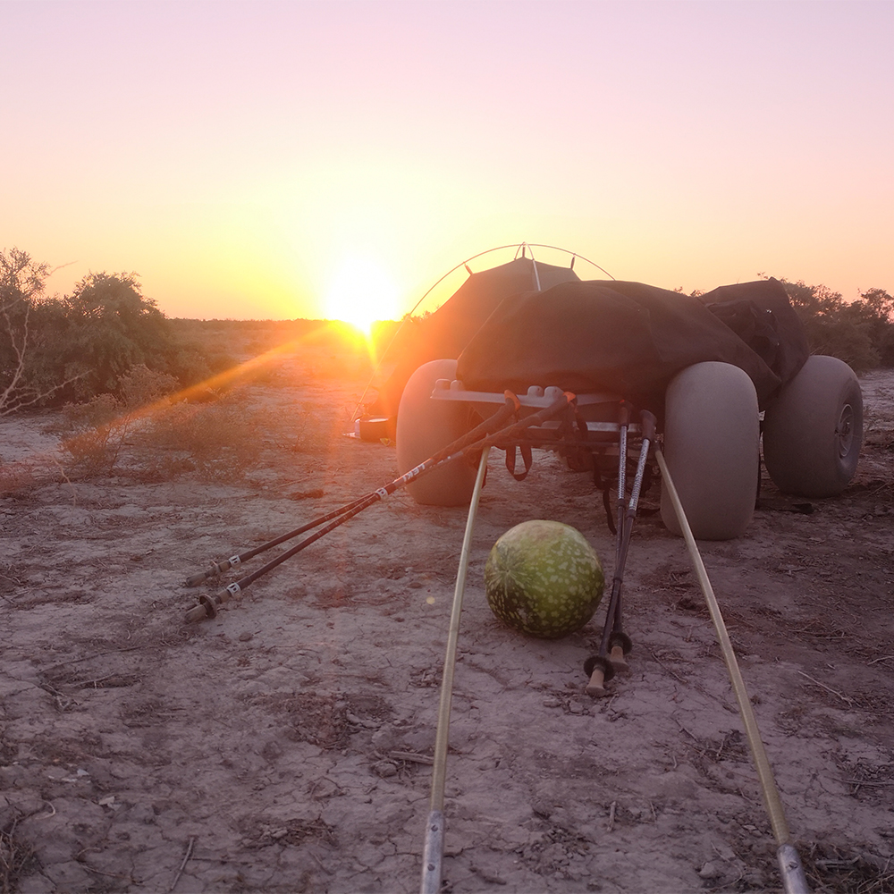"WheelEEZ Wheels were astounding"