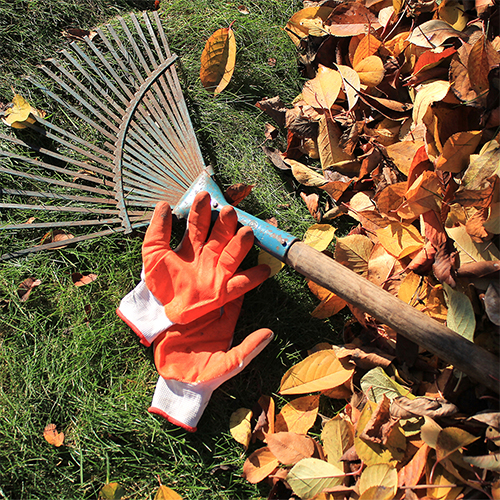 How to continue your gardening into autumn 
